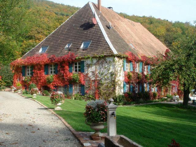 Le Schaeferhof Hotel Murbach Exterior photo