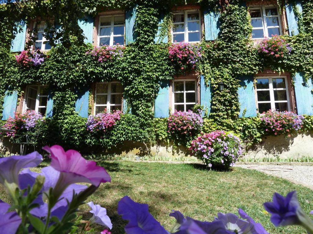 Le Schaeferhof Hotel Murbach Exterior photo